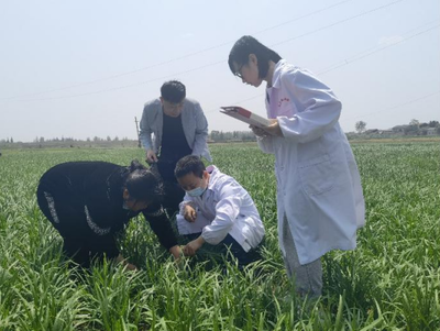 入“鏈”問診，精準賦能 市檢測站發力服務農業產業鏈，助推農藥貿易高質量發展