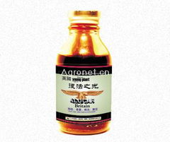 復(fù)活之光 從蔬菜農(nóng)藥困局到博覽會(huì)新機(jī)遇